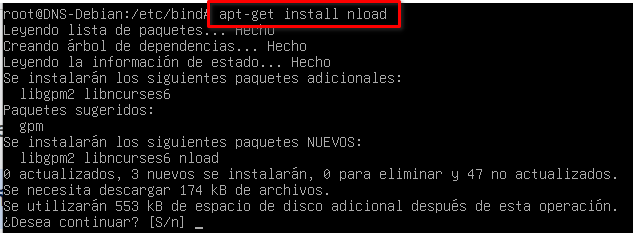 Instalación de NLOAD