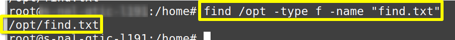 bùsqueda en directorio específico con find